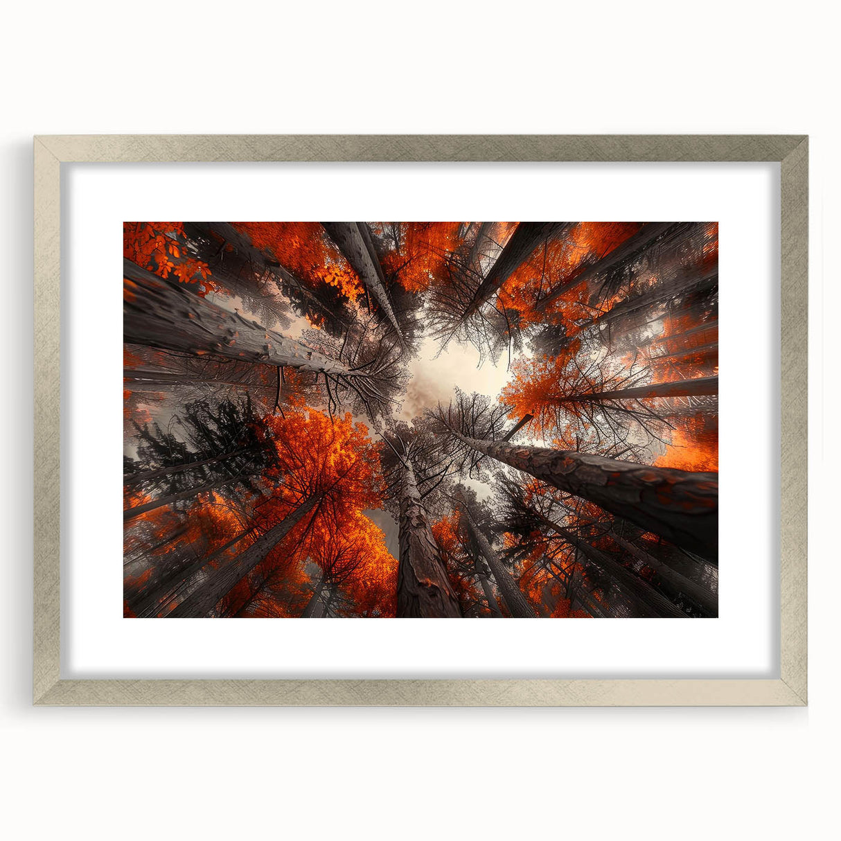 Framed botanical wall art collection featuring a silver mat showcasing vibrant flowers and trees design, ideal for enhancing home décor with nature-inspired aesthetics.