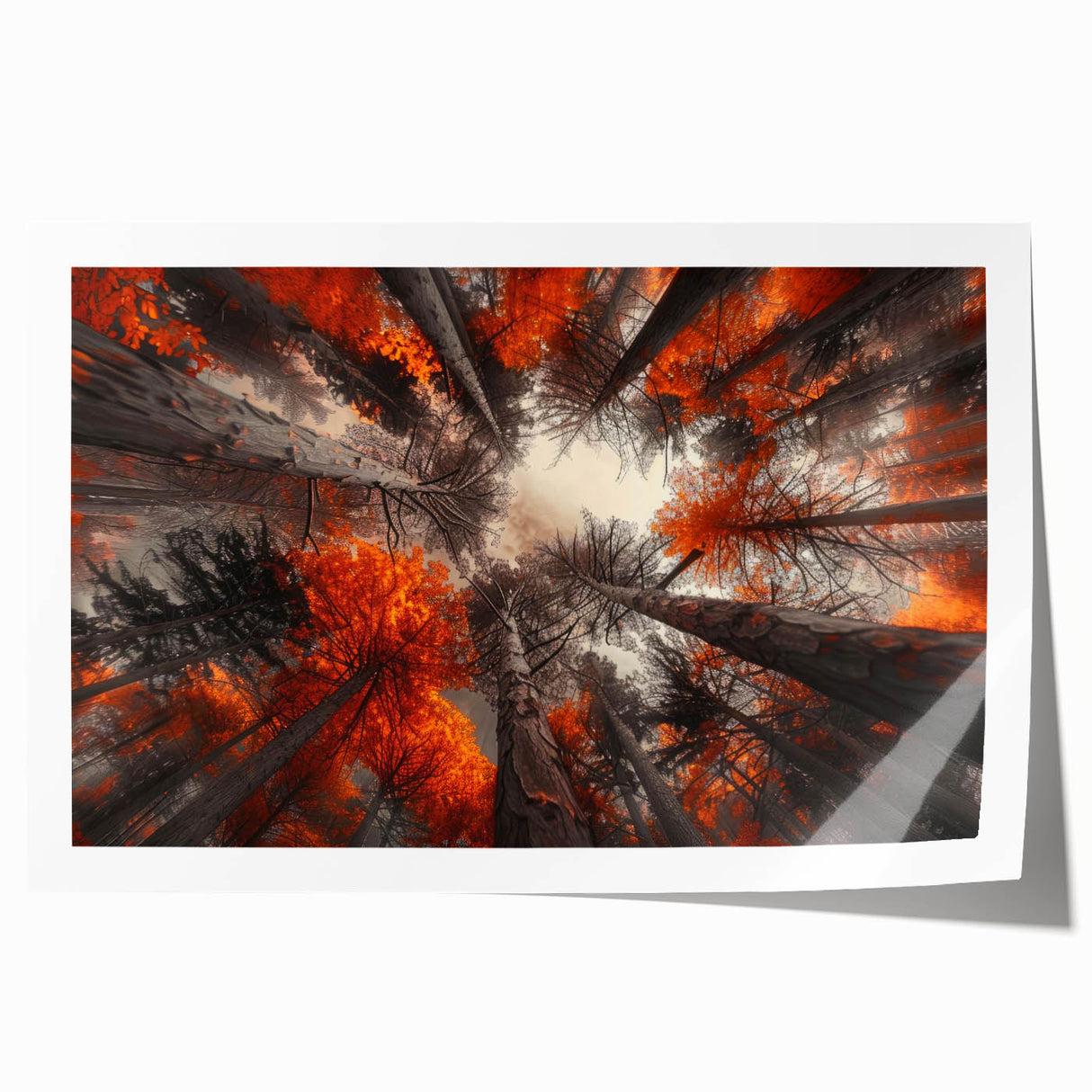 Botanical forest wall art showcasing a vibrant design of various trees and flowers in rich colors, perfect for home decor or nature-themed spaces, rolled for easy display.