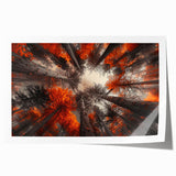 Botanical forest wall art showcasing a vibrant design of various trees and flowers in rich colors, perfect for home decor or nature-themed spaces, rolled for easy display.