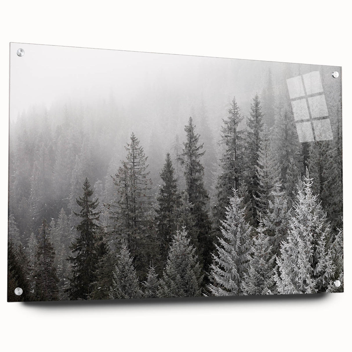 Close-up of a botanical wall art collection showcasing vibrant flowers and trees, displayed in acrylic glass with visible mounting pins, enhancing interior decor.