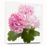 Side view of a botanical geranium design wall art piece, showcasing vibrant colors and intricate details, presented in an elegant acrylic glass frame.
