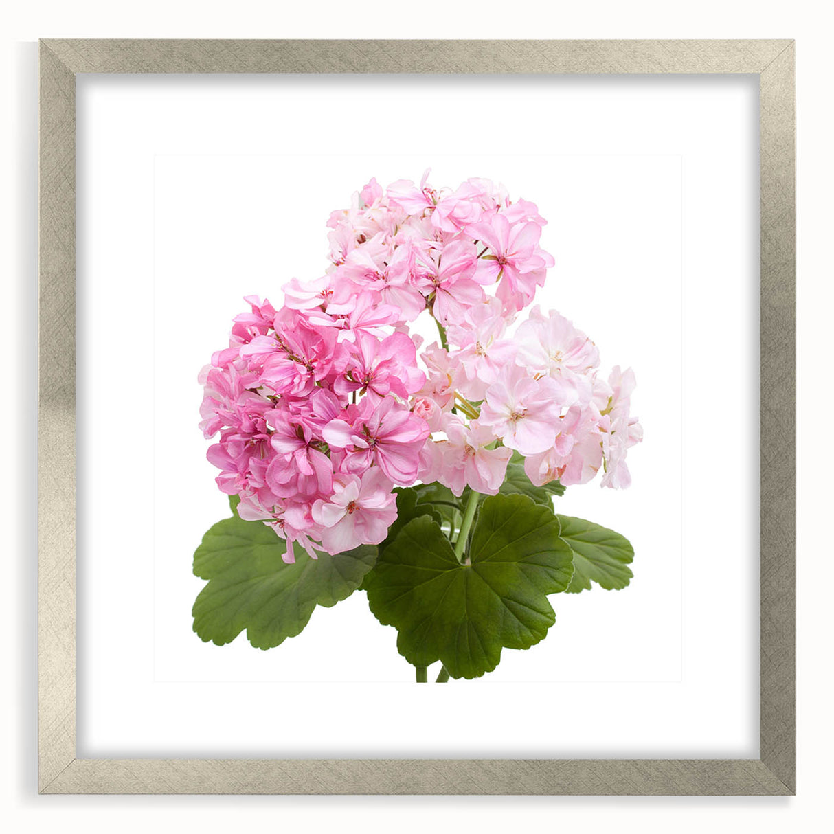Botanical wall art featuring a vibrant geranium design in a sleek silver frame with a mat, perfect for enhancing home decor with a touch of nature.