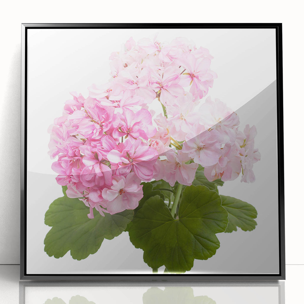 Framed botanical wall art print featuring a vibrant geranium design, set against a sleek black frame, perfect for enhancing modern home decor.
