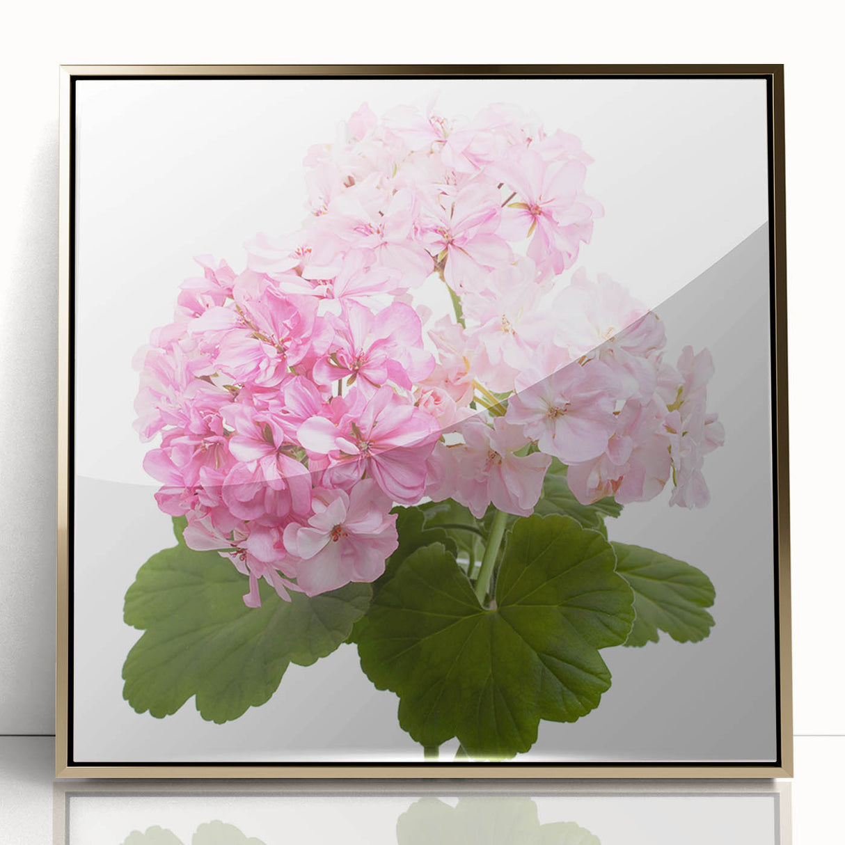 Framed wall art featuring a botanical geranium design with gold accents, showcasing vibrant flowers against a light background, perfect for home decor.
