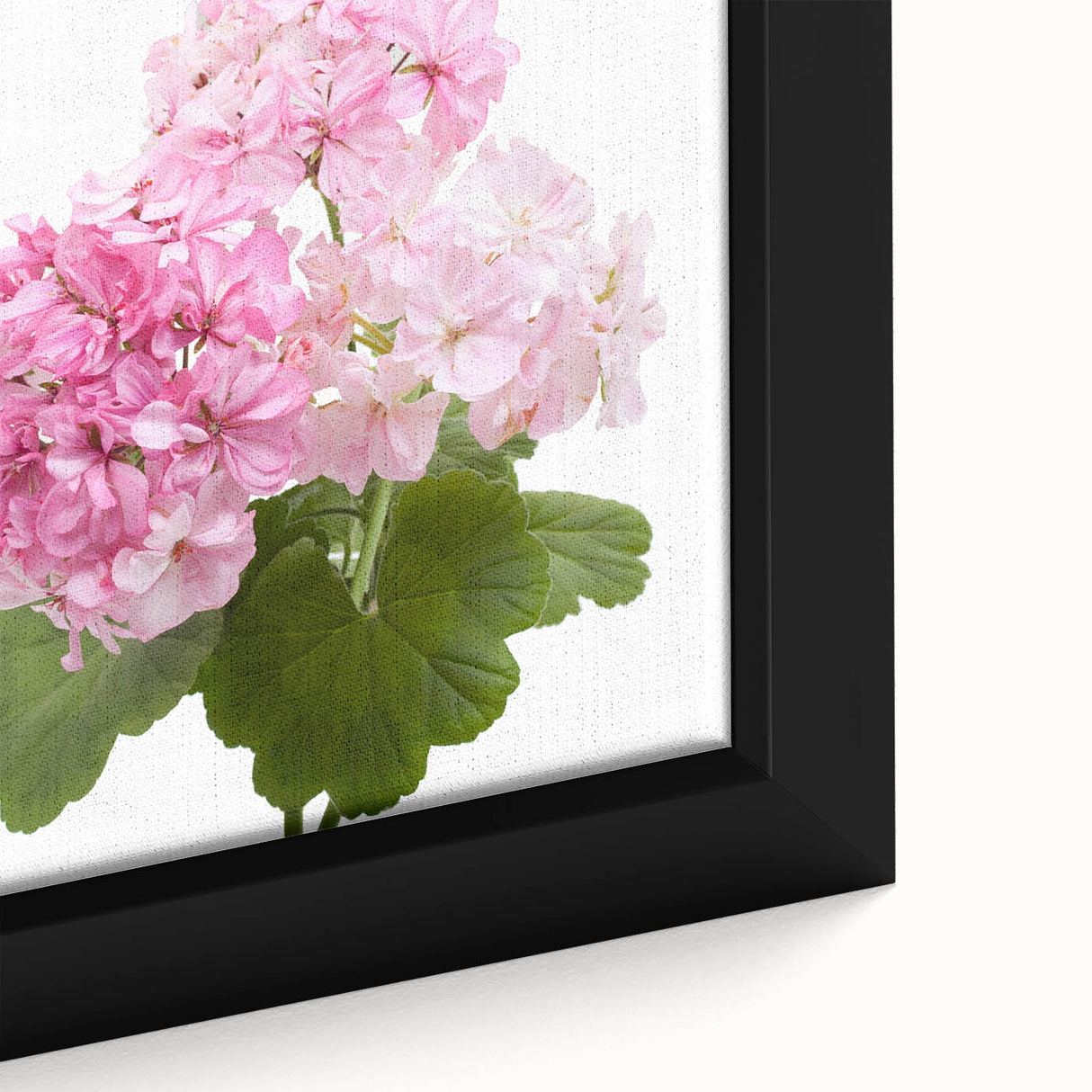 Framed canvas wall art featuring a close-up of vibrant botanical geranium design, showcasing intricate details and rich colors, perfect for home decor.