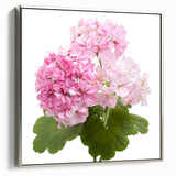 Framed botanical wall art featuring a geranium design with a silver frame, showcasing vibrant floral colors and intricate details, ideal for home decor.