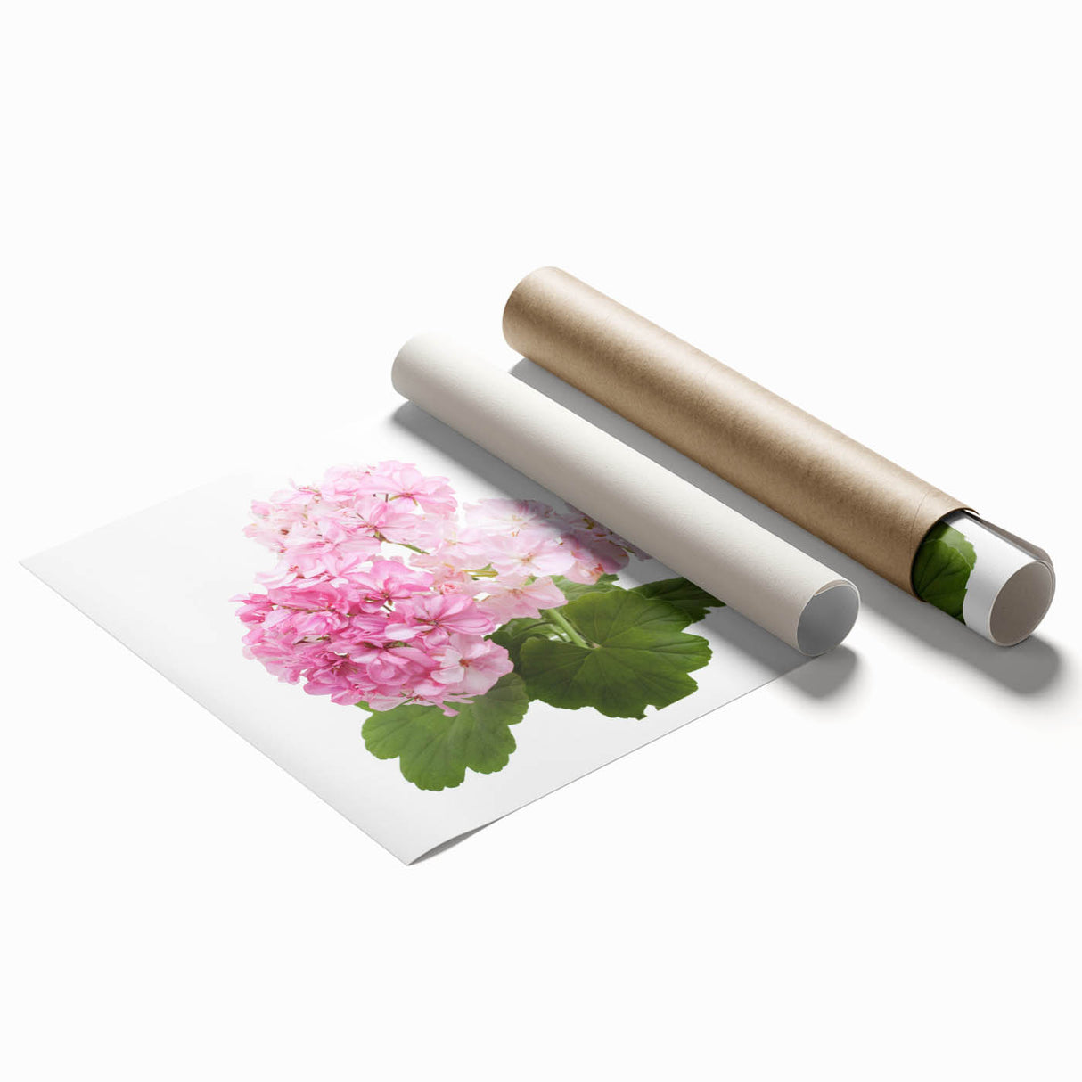 Botanical geranium wall art print showcasing vibrant pink and green flowers on a white background, ideal for home decor or art collections, rolled for easy framing.