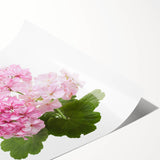Botanical geranium wall art print showcasing vibrant pink and green floral design on a textured background, ideal for home decor and art enthusiasts.