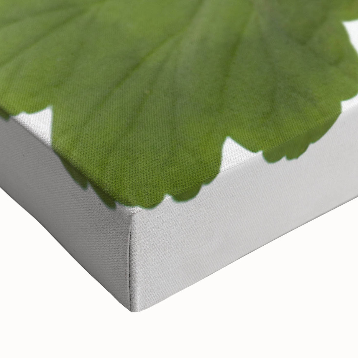 Close-up of a botanical geranium wall art design on stretched canvas, showcasing vibrant green leaves and delicate pink flowers, perfect for home decor.