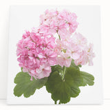 Botanical wall art featuring a vibrant geranium design on stretched canvas, elegantly leaning against a neutral backdrop, ideal for home decor enhancement.