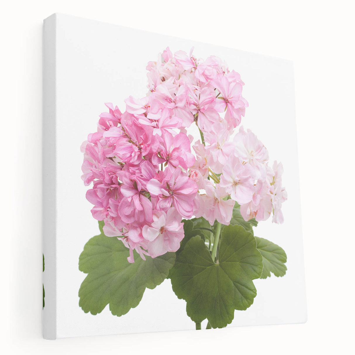 Stretched canvas wall art showcasing a vibrant botanical geranium design, featuring rich green leaves and pink flowers, ideal for home decor.