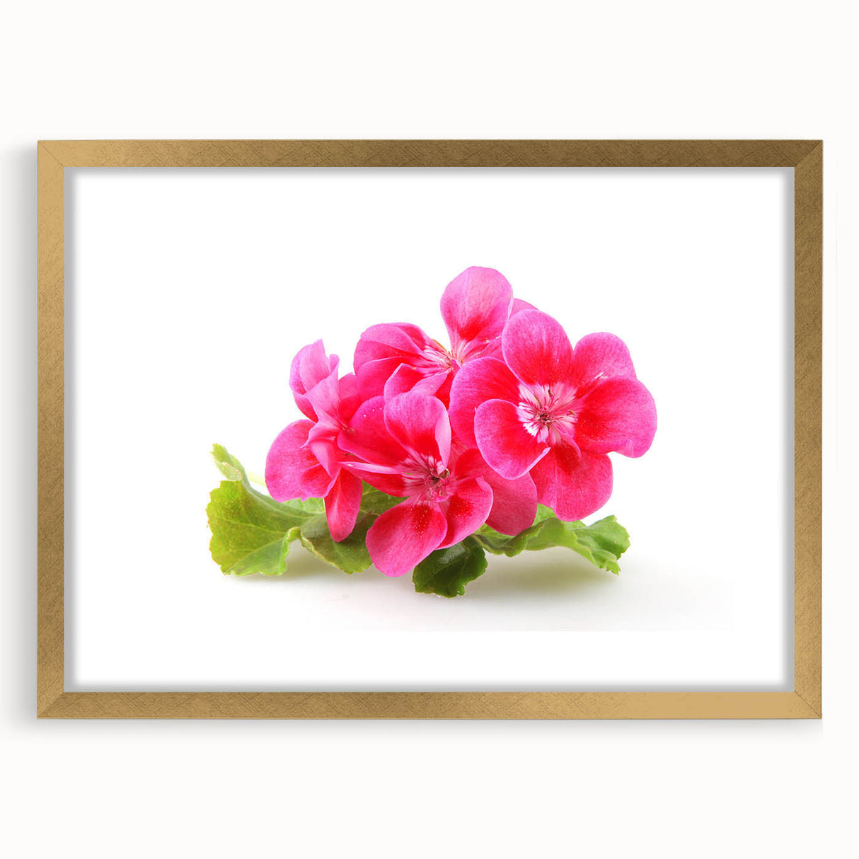 Botanical wall art featuring a vibrant geranium design in a gold-framed mat, perfect for adding a touch of elegance to home decor. Ideal for floral enthusiasts and art lovers.