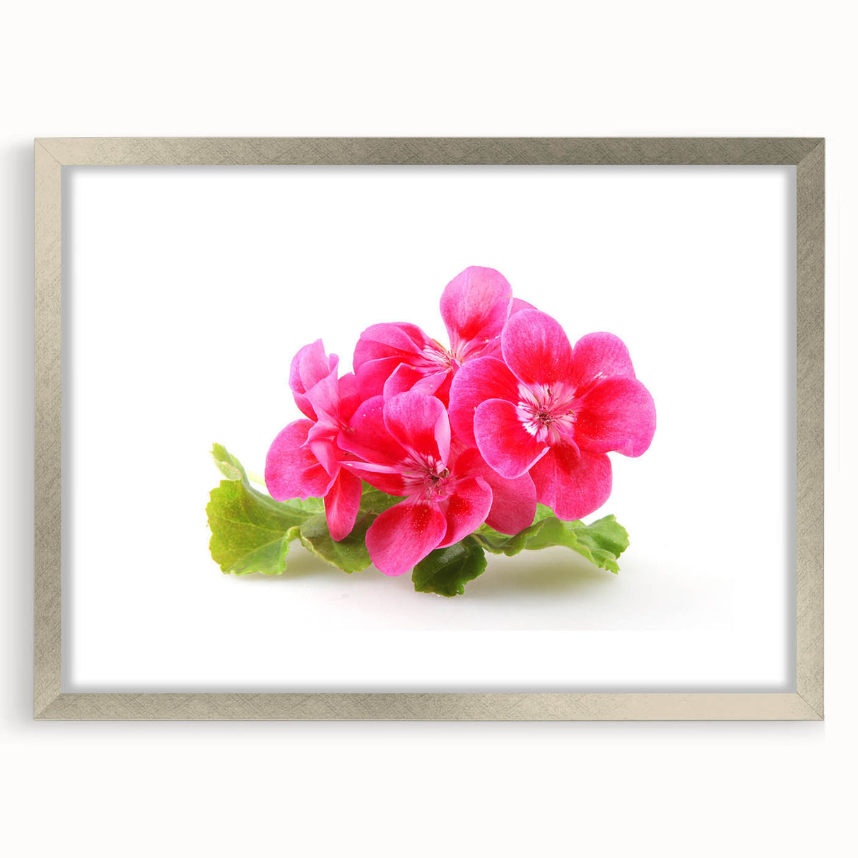 Botanical wall art featuring a vibrant geranium design in a silver frame with matting, showcasing intricate floral details, perfect for home decor.