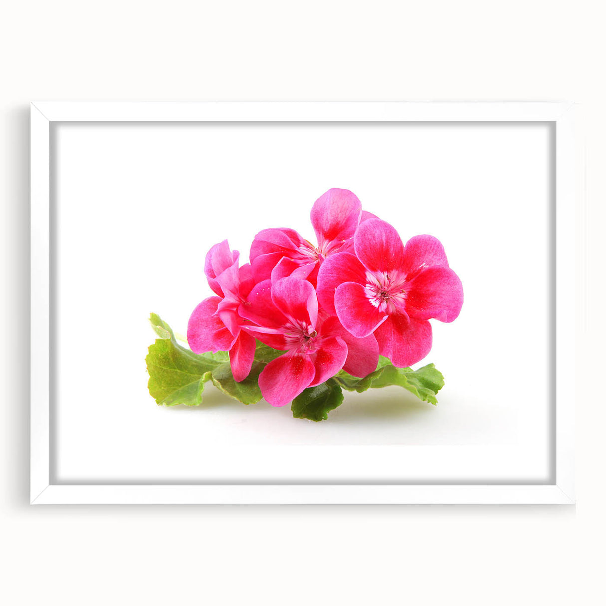 Botanical wall art print featuring a vibrant geranium design, elegantly framed with a white mat, perfect for enhancing home decor with natural elements.