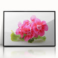 Framed botanical wall art featuring a vibrant geranium design on a black background, showcasing intricate floral details and a modern aesthetic, perfect for home decor.