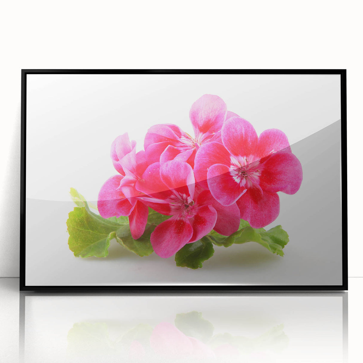 Framed botanical wall art featuring a vibrant geranium design on a black background, showcasing intricate floral details and a modern aesthetic, perfect for home decor.