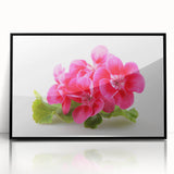 Framed botanical wall art featuring a vibrant geranium design on a black background, showcasing intricate floral details and a modern aesthetic, perfect for home decor.