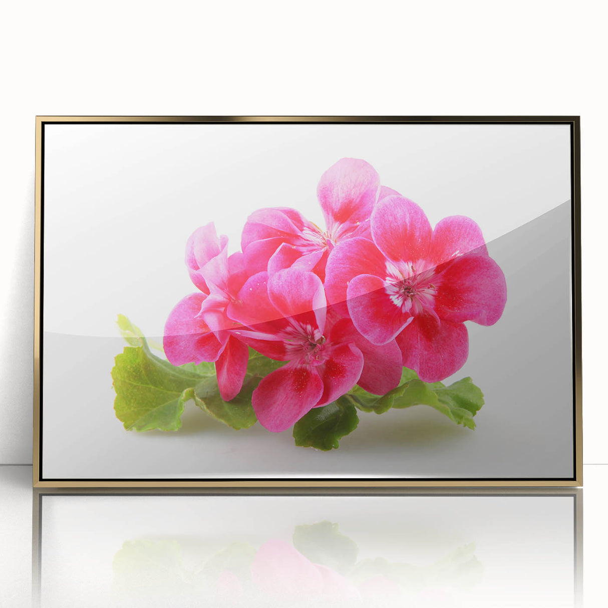 Framed botanical wall art featuring vibrant geranium design, elegantly set in a gold frame, perfect for adding a touch of nature-inspired decor to any room.