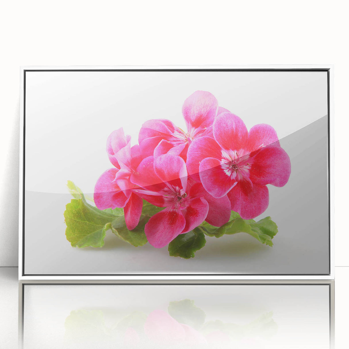Framed botanical wall art featuring a vibrant geranium design in shades of pink and green, displayed against a white background, ideal for home decor.