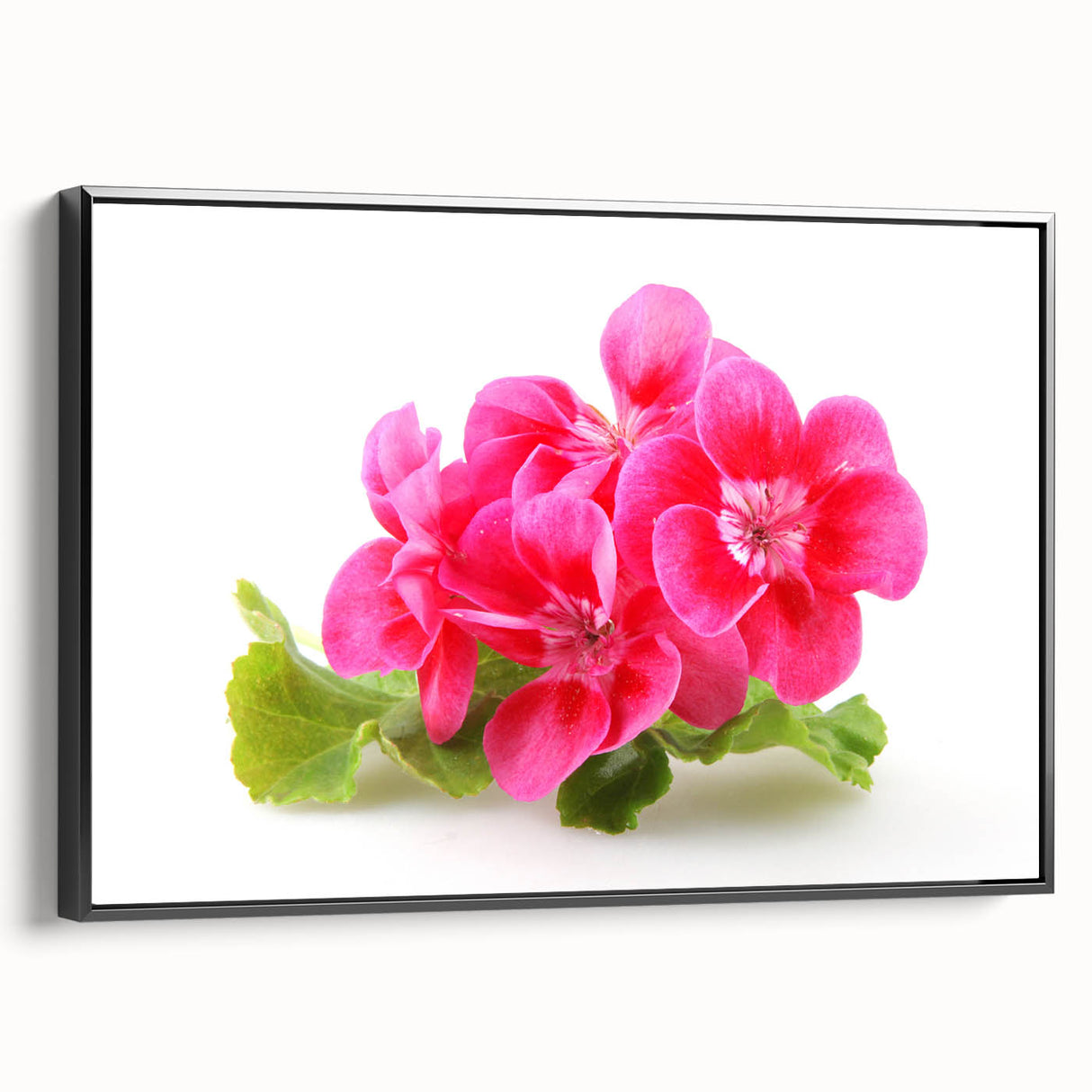 Framed botanical wall art featuring geranium design on a black canvas, showcasing vibrant colors and intricate details, perfect for home decor enhancement.
