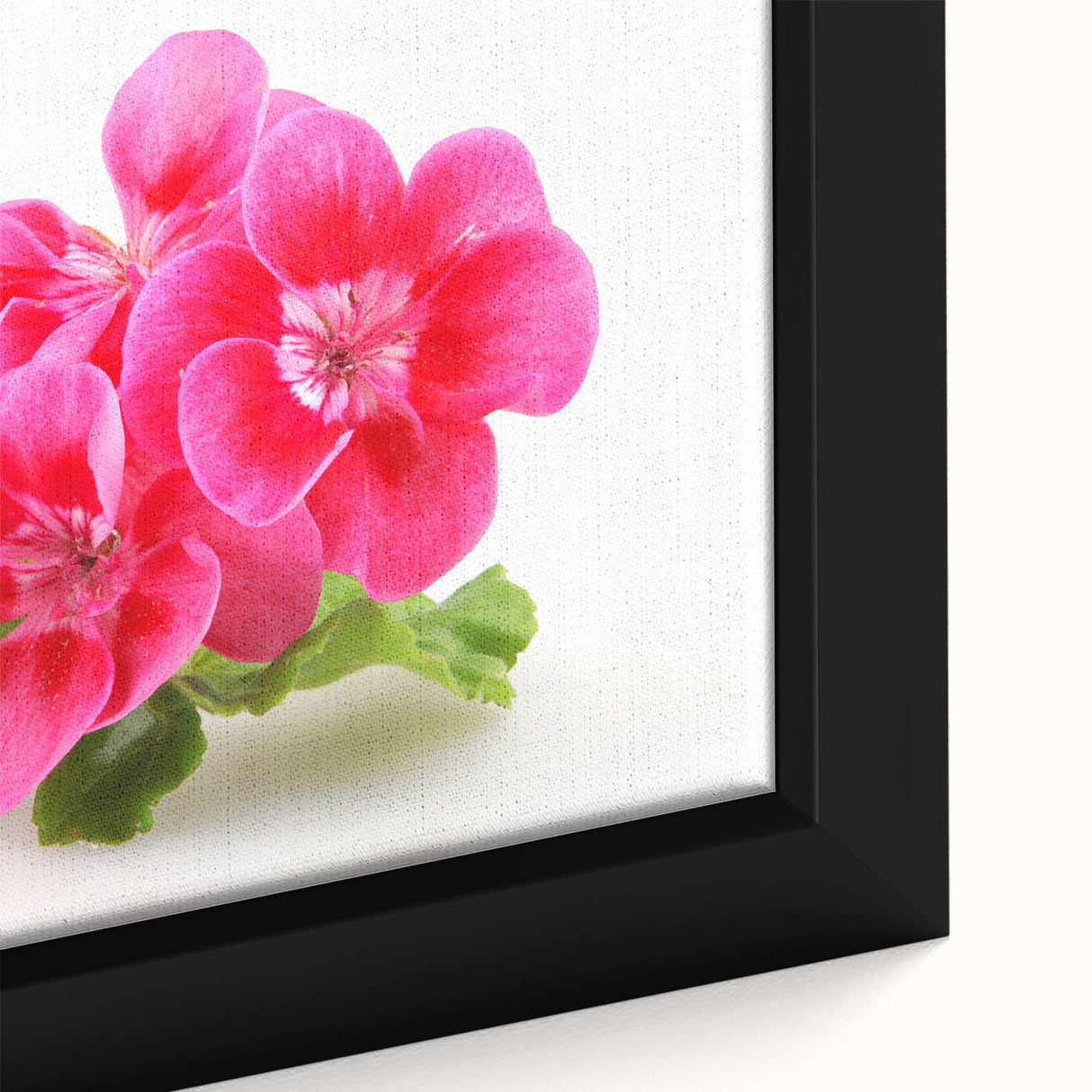 Close-up of a framed botanical geranium wall art piece, showcasing vibrant green leaves and delicate pink flowers on a textured canvas, perfect for home decor.