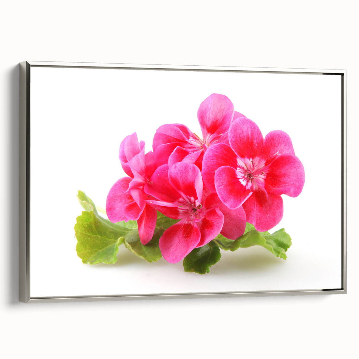 Framed botanical wall art featuring a vibrant geranium design with a silver frame, displayed at an angle to showcase its elegant aesthetic for home decor.