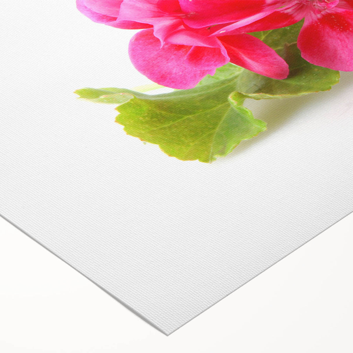 Botanical wall art showcasing a detailed geranium design on rolled canvas, featuring vibrant colors and intricate leaf patterns, perfect for home decor.