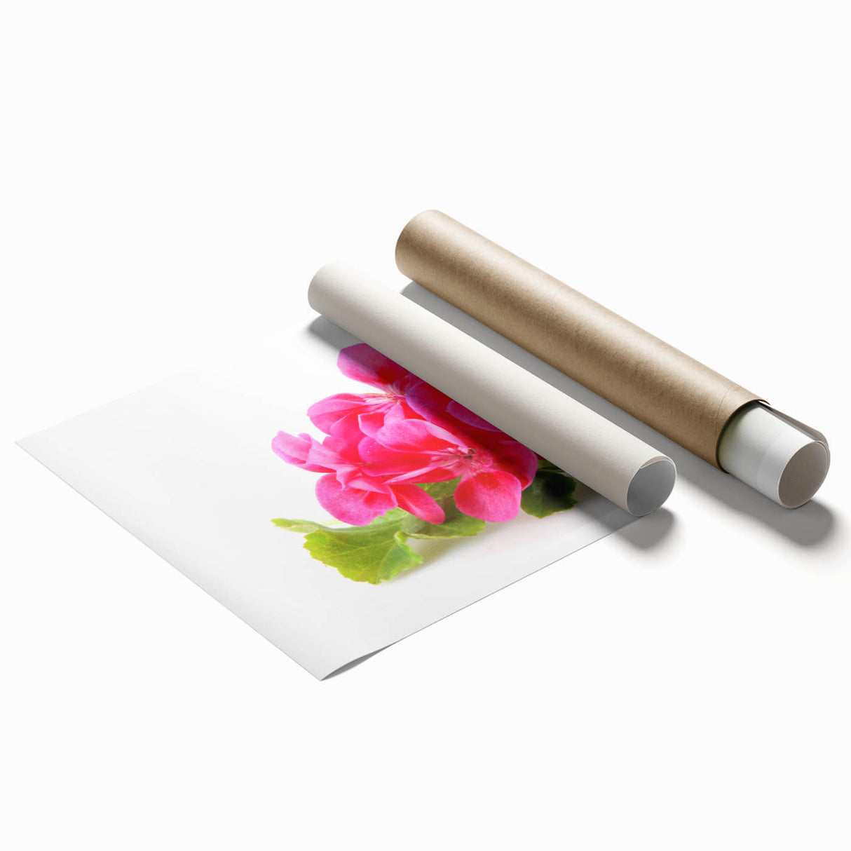 Botanical geranium wall art print showcasing vibrant pink and green floral designs, elegantly rolled for easy display and shipping in a protective tube. Perfect for home decor enthusiasts.