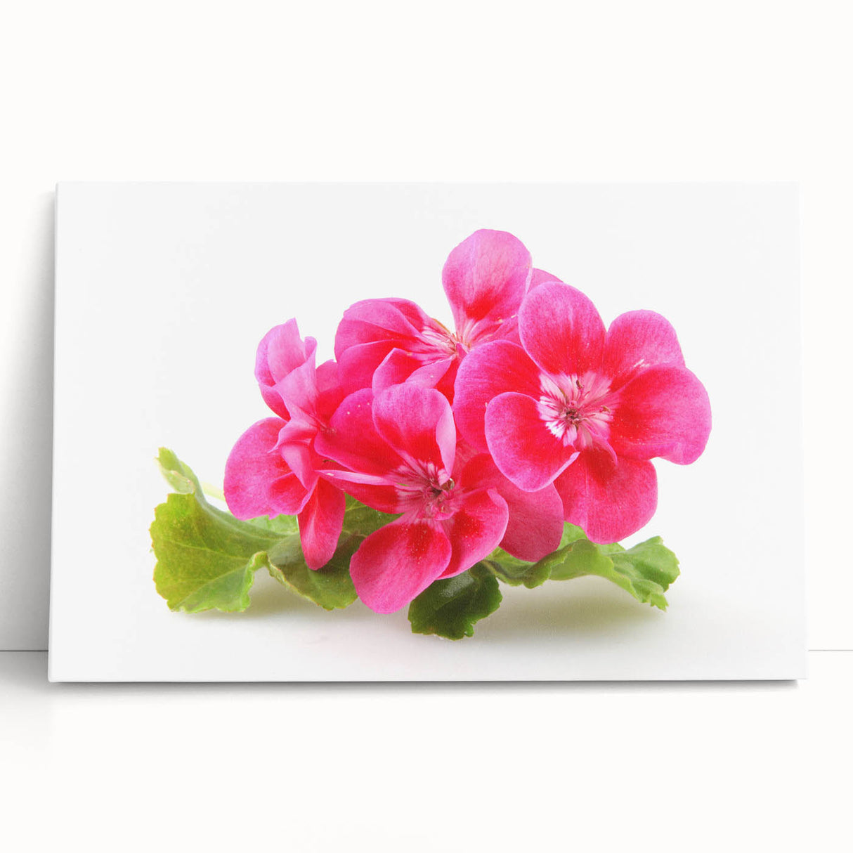 Botanical wall art featuring a vibrant geranium design on stretched canvas, elegantly leaning against a neutral wall, adding a pop of color and nature-inspired decor.