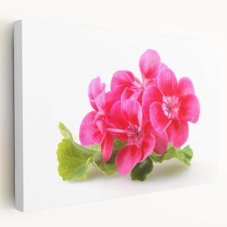 Stretched canvas art featuring a botanical geranium design with vibrant green leaves and delicate pink flowers, displayed from a side view to highlight its depth and texture. This piece adds a refreshing touch to any decor.