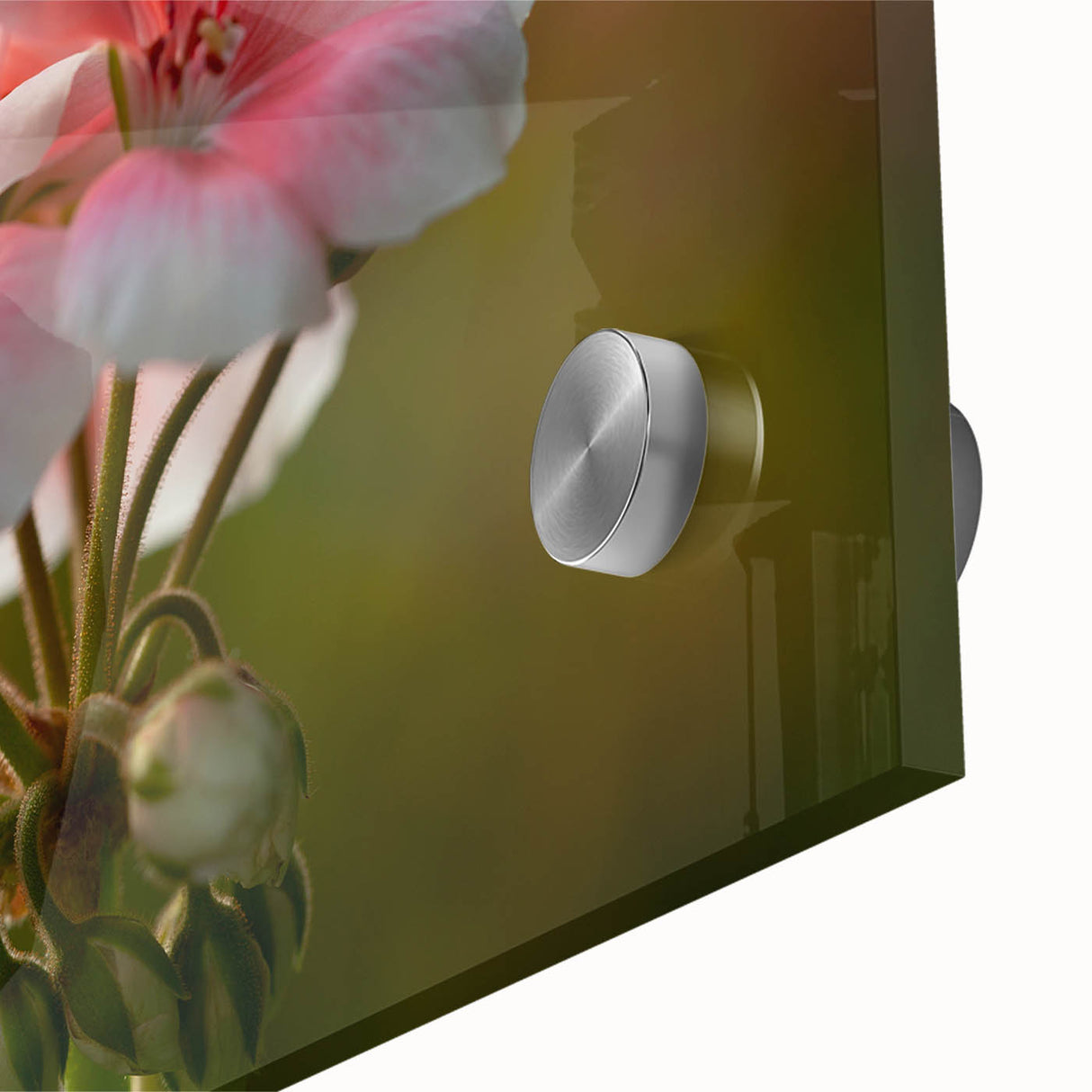 Close-up of a botanical geranium wall art design printed on acrylic glass, showcasing vibrant colors and intricate details, perfect for home decor enhancement.