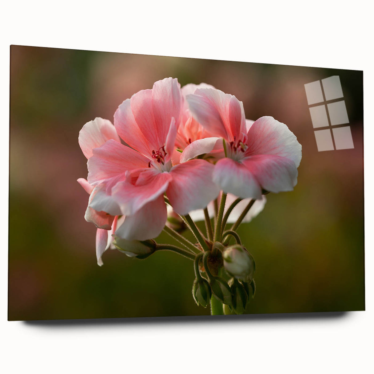 Acrylic wall art featuring a botanical geranium design, showcasing vibrant green leaves and delicate pink flowers, displayed from a side view on a clean white background.