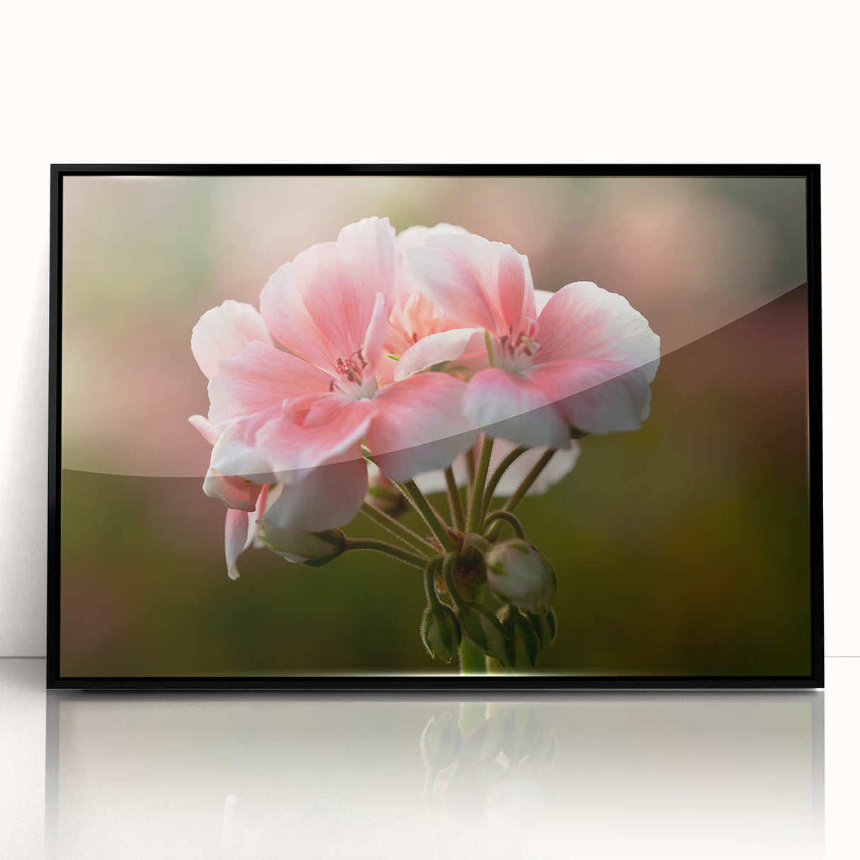Framed wall art featuring a botanical geranium design in vibrant colors, displayed in a sleek black frame, perfect for enhancing home decor with a touch of nature.