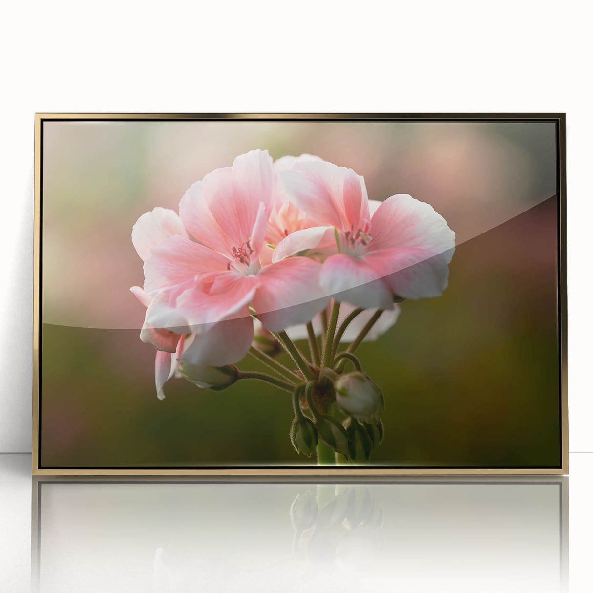 Framed wall art featuring a botanical geranium design with vibrant colors, elegantly displayed in a gold frame to enhance any interior decor. Perfect for nature-inspired aesthetics.