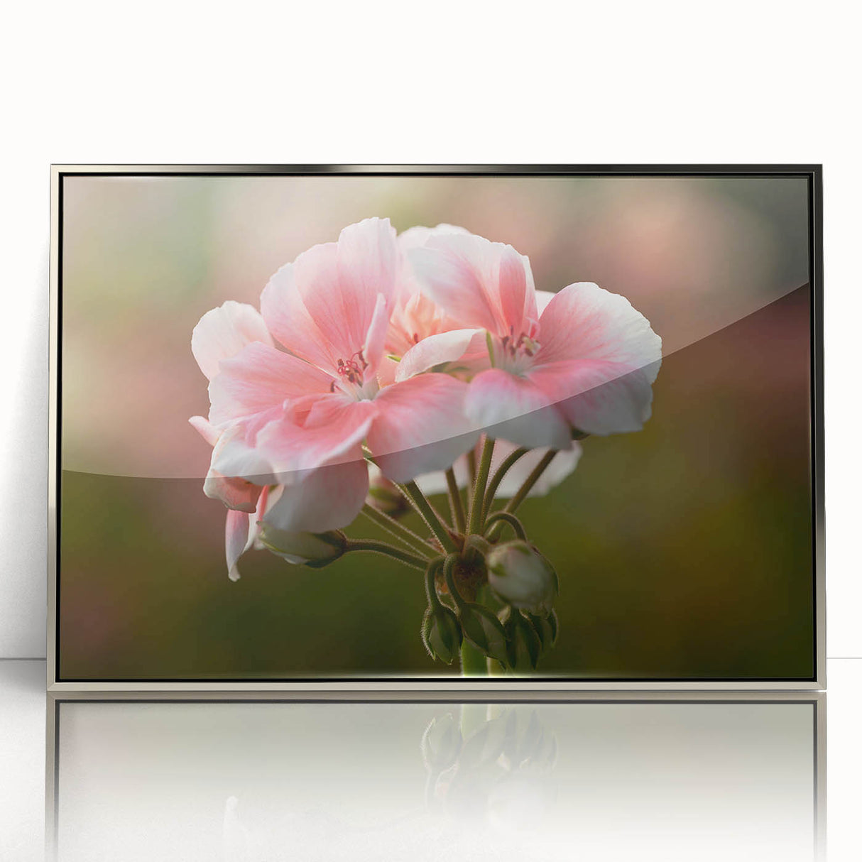 Framed wall art featuring a botanical geranium design with intricate details, set in a sleek silver frame, perfect for enhancing modern home decor.
