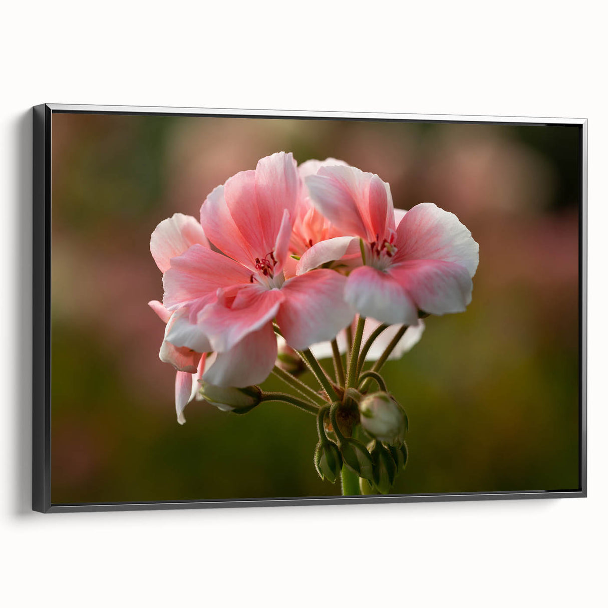 Framed botanical wall art featuring a vibrant geranium design on a black canvas, showcasing intricate details and a modern aesthetic, perfect for home decor.
