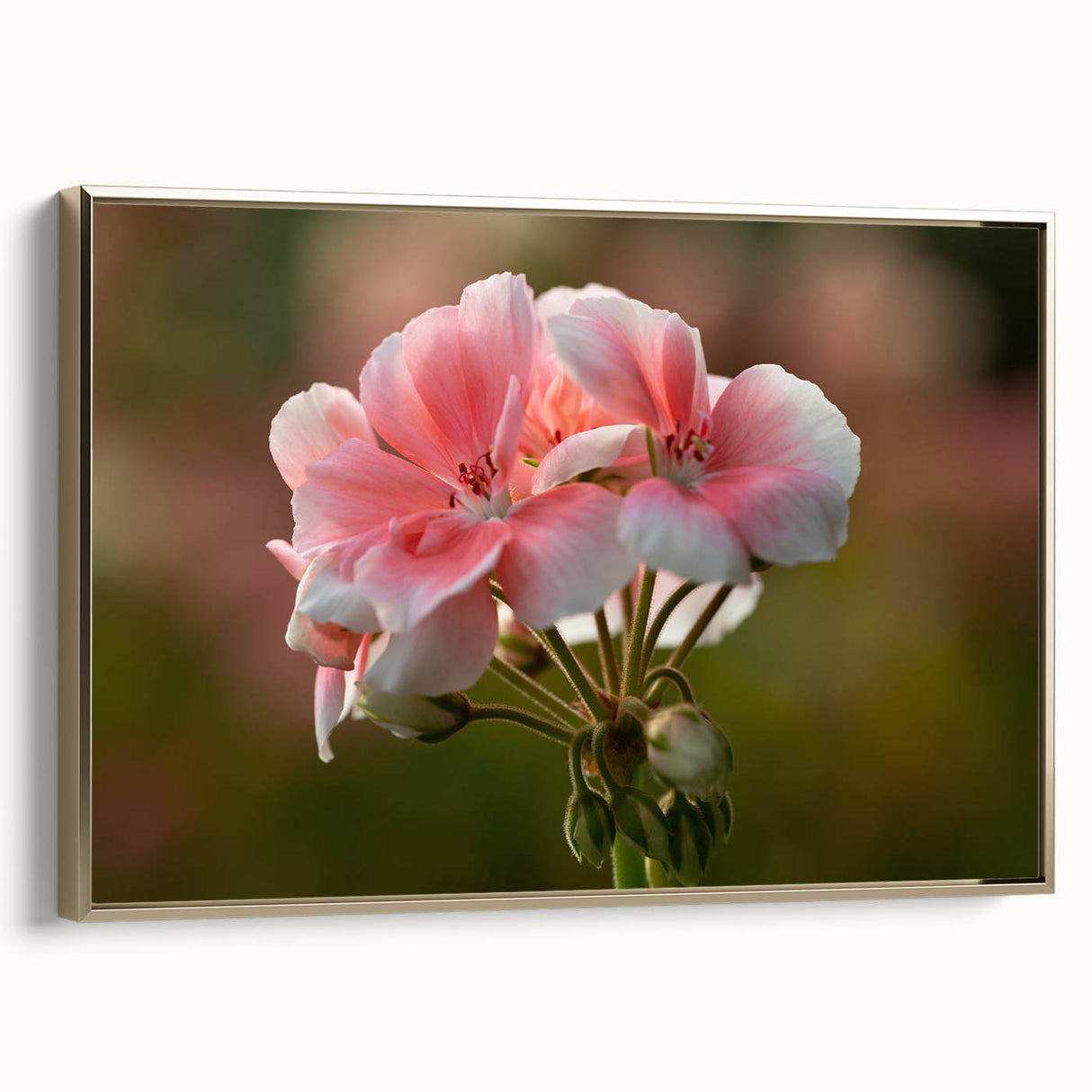 Framed botanical wall art featuring a vibrant geranium design on canvas, accented with a gold frame, showcasing intricate floral details in a stylish side view.