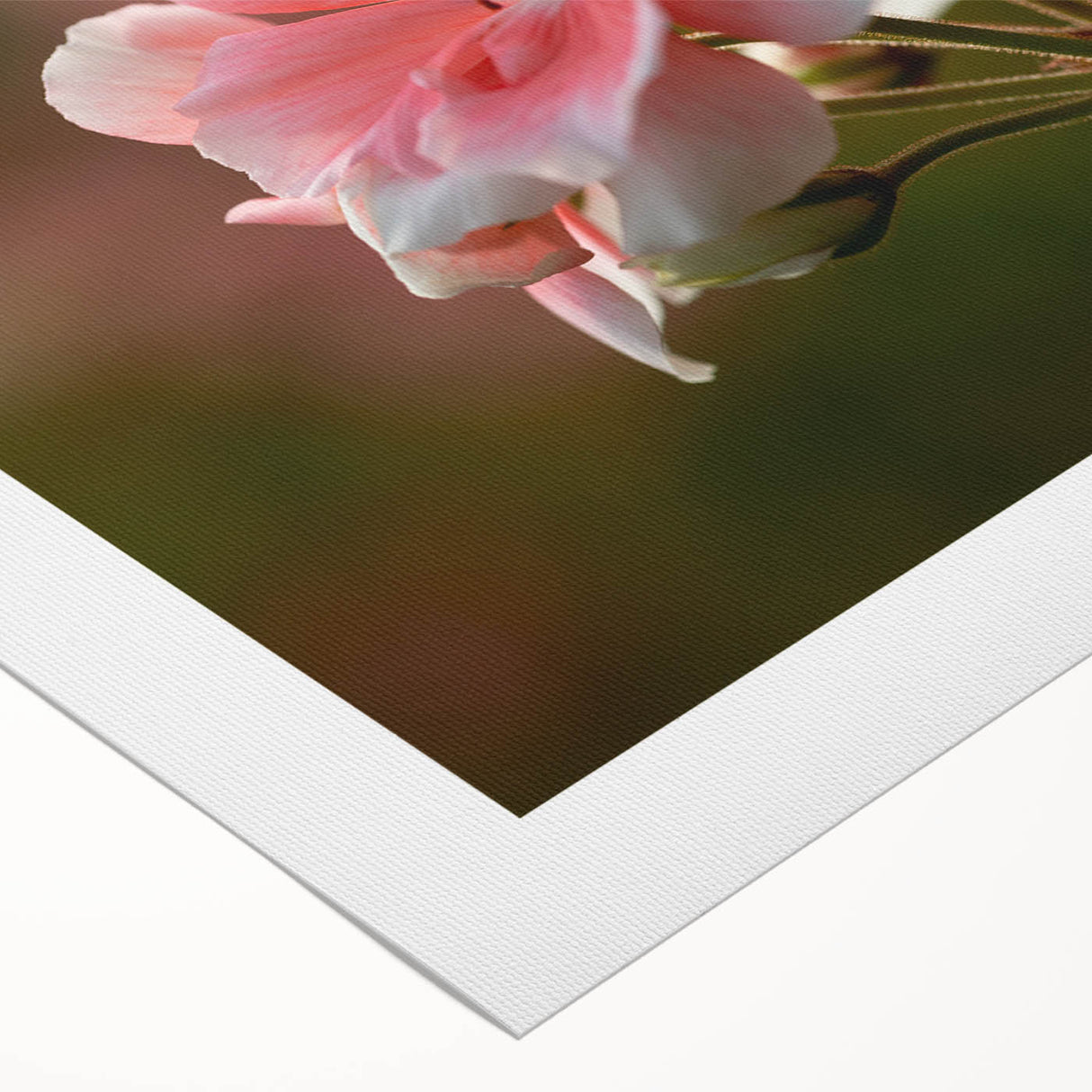 Botanical wall art featuring vibrant geranium flowers on rolled canvas, ideal for home decor. The design showcases rich colors and intricate details, enhancing any room's aesthetic.