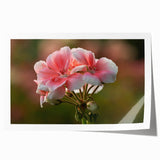 Botanical geranium wall art print showcasing vibrant pink and green floral designs on a textured background, rolled and ready for framing or display.