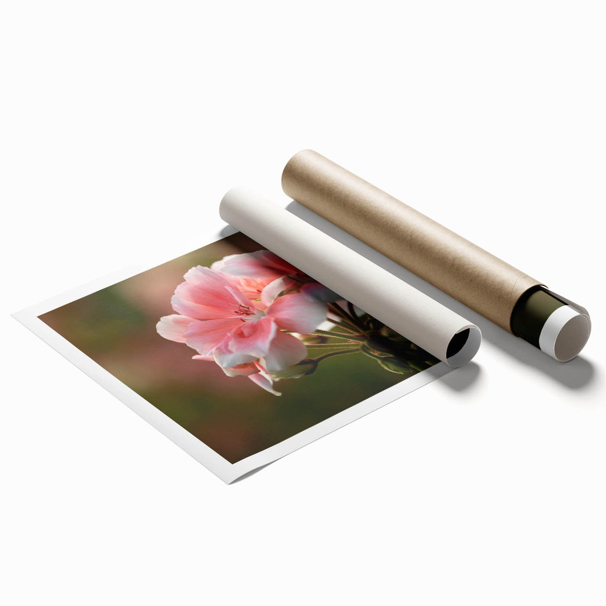 Botanical wall art print showcasing vibrant geranium flowers in a soft color palette, rolled and ready for framing, emphasizing floral aesthetics and nature-inspired decor.