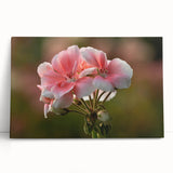 Stretched canvas wall art featuring a vibrant botanical design of geranium flowers in rich hues of pink and green, elegantly leaning against a neutral backdrop, perfect for home decor.