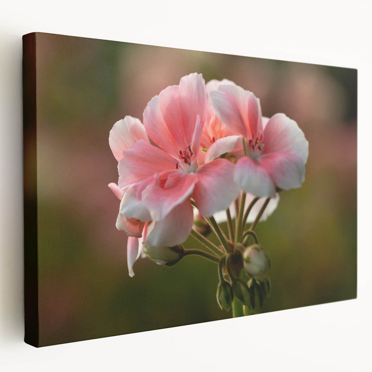 Stretched canvas wall art featuring a vibrant botanical geranium design, showcasing detailed floral patterns and rich colors, perfect for home decor accents.