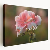 Stretched canvas wall art featuring a vibrant botanical geranium design, showcasing detailed floral patterns and rich colors, perfect for home decor accents.