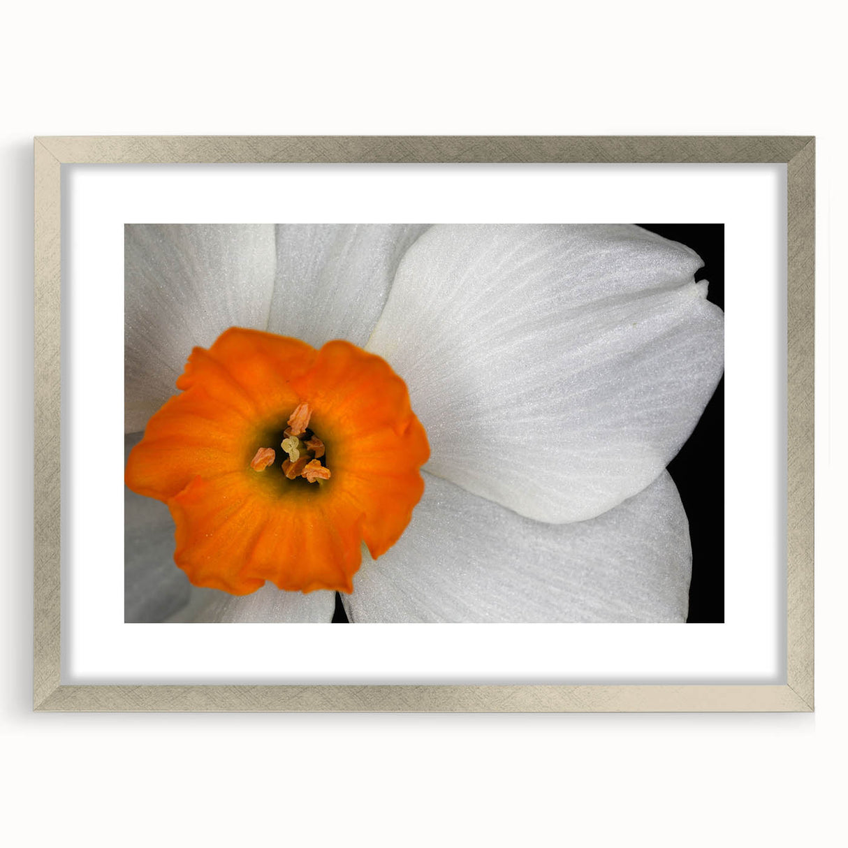 Botanical geranium wall art collection framed in silver with matting, showcasing vibrant flower designs ideal for home decor, adding elegance to any space.