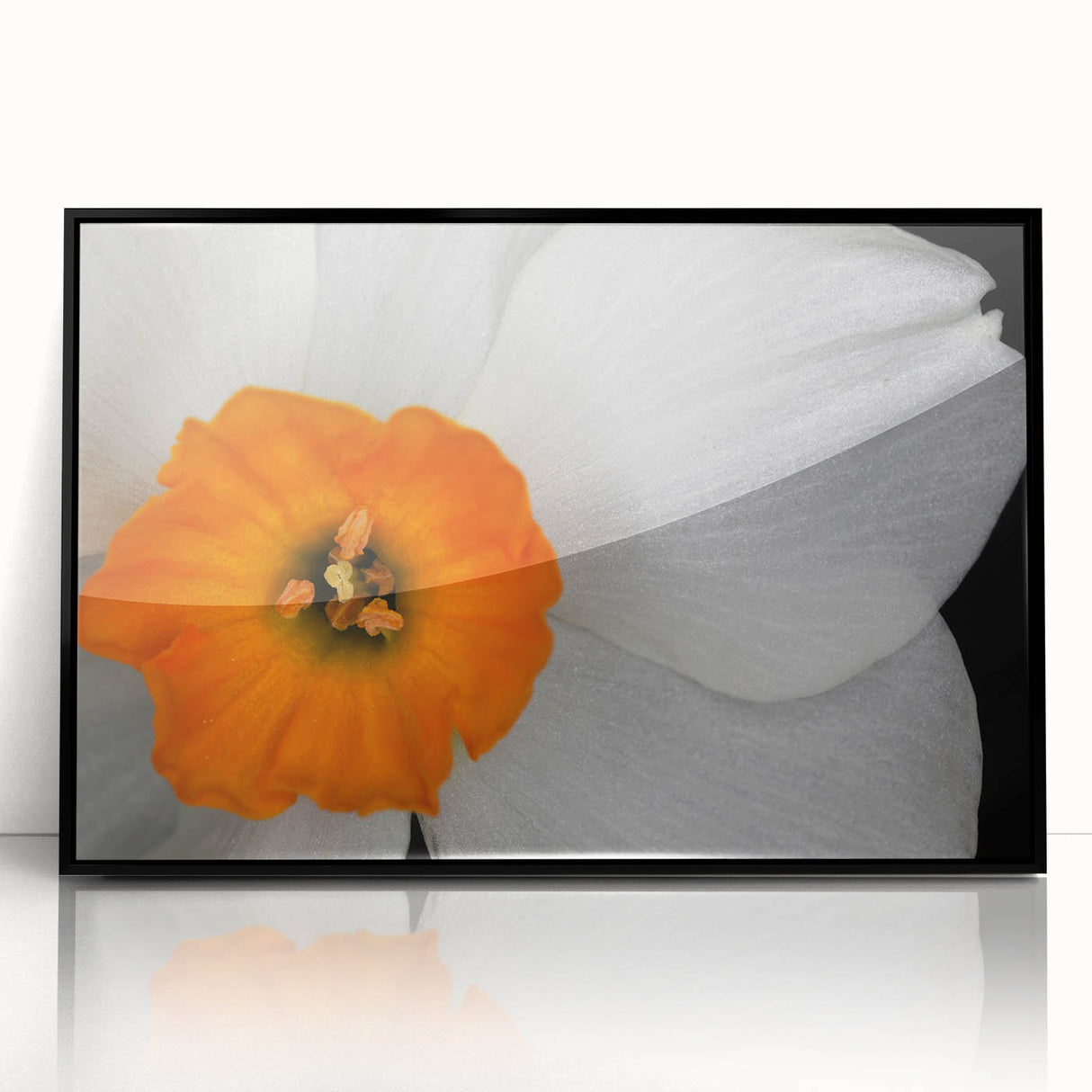 Framed botanical wall art featuring a vibrant geranium design with a black frame, showcasing intricate floral details against a white background, ideal for home decor.