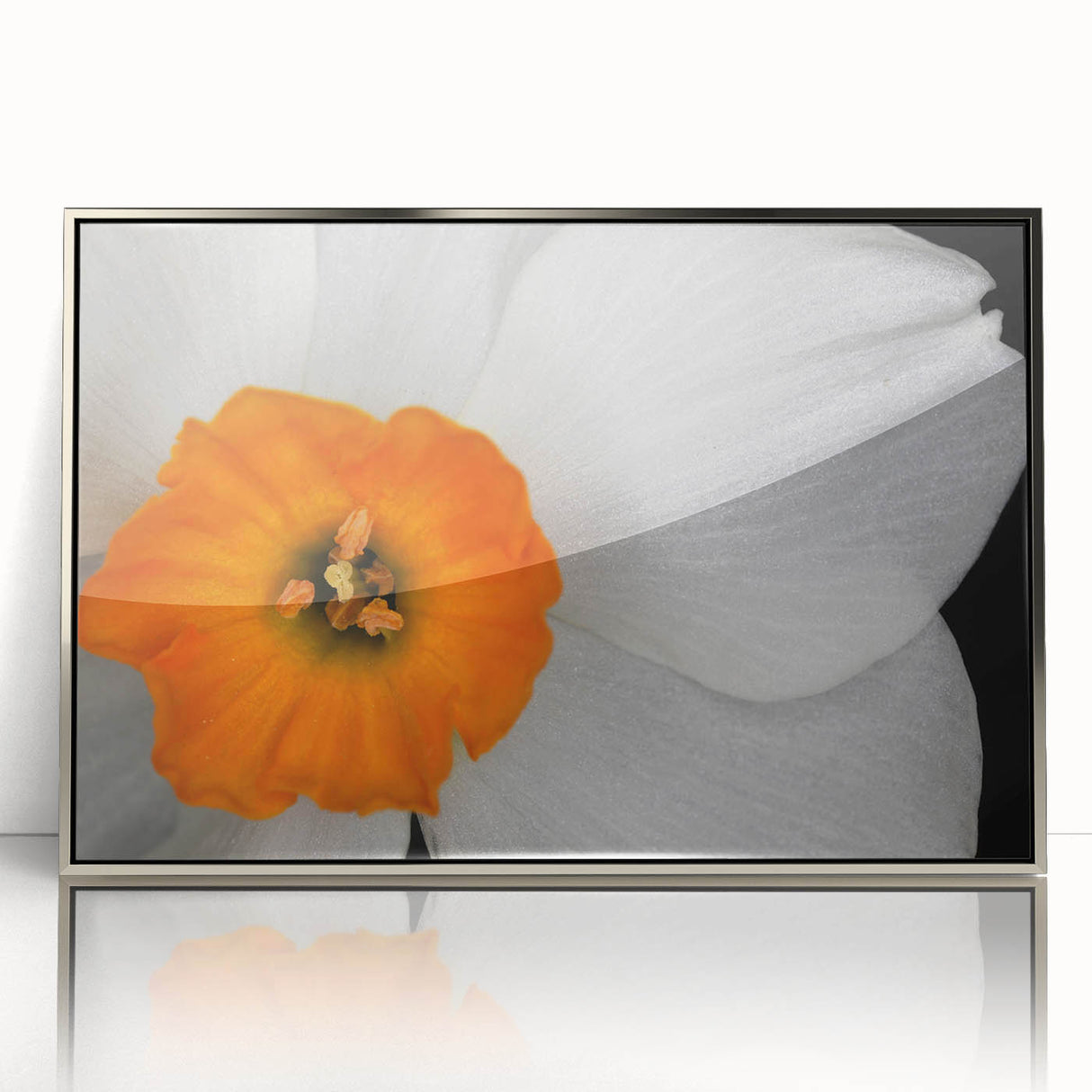 Framed botanical wall art featuring a vibrant geranium design in a sleek silver frame, ideal for adding a touch of nature-inspired elegance to any decor.