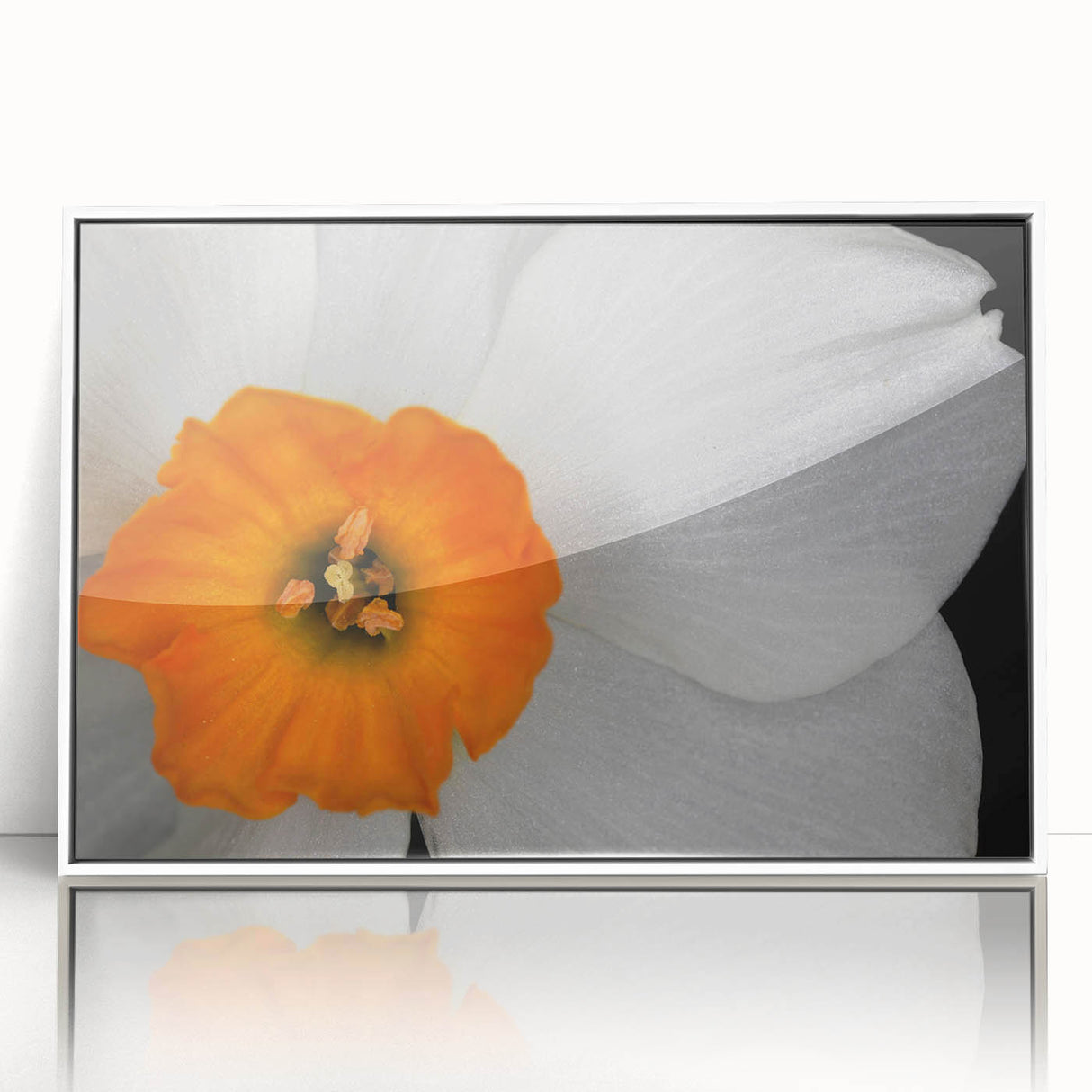 Framed botanical wall art featuring vibrant geranium design in acrylic, set against a white background, ideal for home decor and floral enthusiasts.
