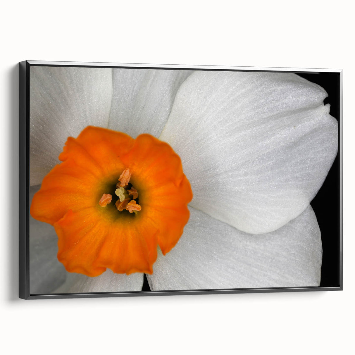 Framed botanical wall art showcasing a geranium design, featuring vibrant colors and detailed leaves, displayed in a sleek black frame for modern decor.