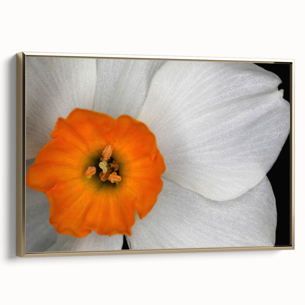 Framed botanical wall art design featuring vibrant geranium flowers in a gold frame, showcasing intricate details and a side view perspective, perfect for home decor.