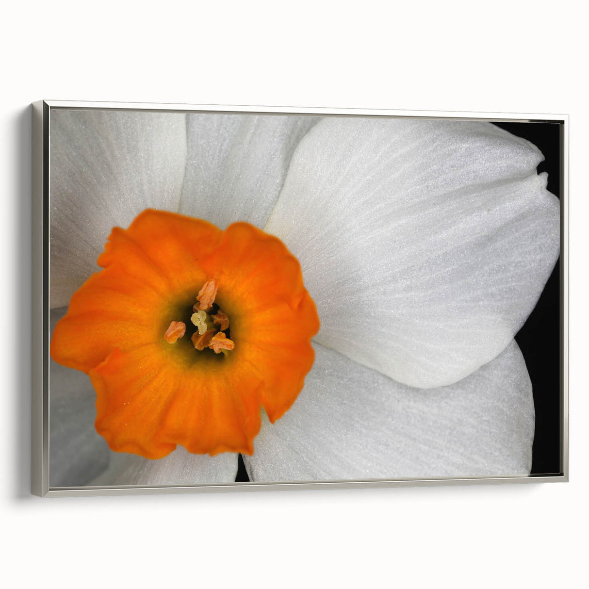 Framed wall art featuring a botanical geranium design in silver, showcasing vibrant floral details against a textured background, ideal for home decor.